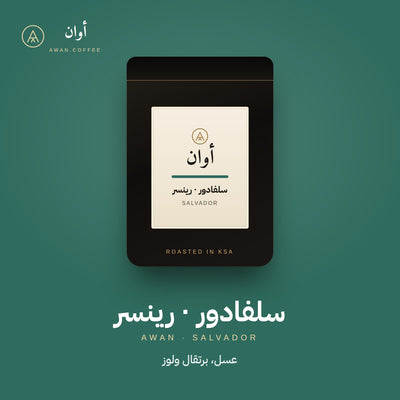 السلفادور ريناسير — مغسول